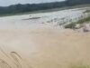 Tanggul Sungai Barowila Jebol, Ratusan Hektare Sawah Warga Terendam