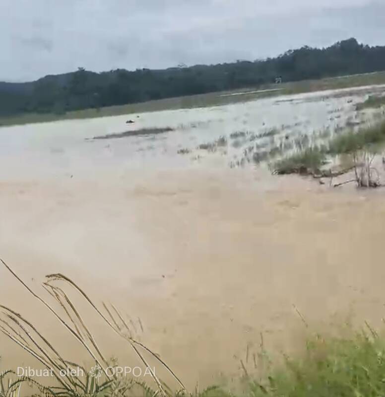 Tanggul Sungai Barowila Jebol, ratusan Hektare Sawah Warga Terendam
