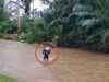 Demi Sekolah, Pelajar di Perbatasan Koltim-Kolaka Rela Terobos Banjir dan Pertaruhkan Nyawa
