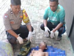 Remaja Asal Kendari Tewas Diduga Tersengat Listrik Saat Berkemah di Pulau Bokori