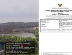 IPMA Bakal Laporkan Kepala KUPP Bungku dan PT AME, Diduga Langgar Aturan Operasional Terminal Khusus