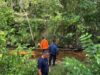 Warga Konawe Selatan yang Hilang di Kebun Belum Ditemukan, Tim SAR Kerahkan Drone Thermal