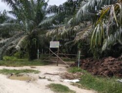 Lahan Dikuasai Belasan Tahun, Warga Segel Kebun Sawit PT TPM dan Desak Kepastian Hukum