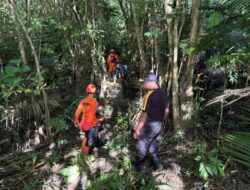 Hari Kedua Pencarian, Tim SAR Gabungan Sisir Area 2 Kilometer Persegi Cari Bocah Hilang di Kolono