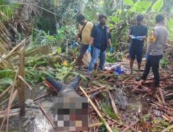 Polsek Bondoala Respons Cepat Penemuan Jenazah Petani di Desa Lamendora, Tidak Ditemukan Tanda Kekerasan