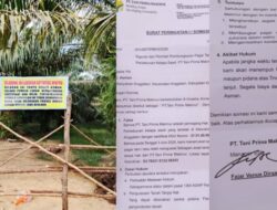 Warga Segel Kebun Sawit dan Tuntut Ganti Rugi Rp50 Juta, PT TPM Respon Dengan Somasi