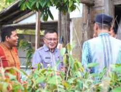Pemda Konawe Salurkan Bibit Durian dan Saprodi di Onembute, Wabup: Peluang Tingkatkan Pendapatan Petani