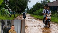 Respons Cepat Bupati Yusran Akbar, Jalan Puluhan Tahun Rusak di Desa Wowasolo Segera Diprioritaskan untuk Diaspal