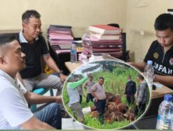 Diduga Curi 2 Ton Buah Sawit Milik PT SJAP, Sejumlah Warga Wonggeduku Dilaporkan ke Polres Konawe