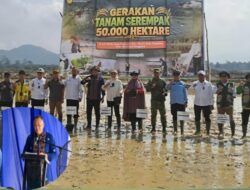 Konawe Jadi Pusat Gerakan Tanam Padi Serentak Nasional, Kementan Pacu Swasembada Pangan