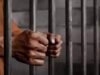 Diduga Cabuli Anak di Bawah Umur, Pria Paruh Baya di Konawe Diamankan Polisi