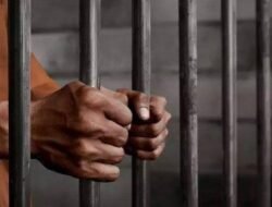 Diduga Cabuli Anak di Bawah Umur, Pria Paruh Baya di Konawe Diamankan Polisi