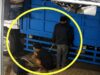 Terekam CCTV, Dua Pria Diduga Kuras Solar Mobil Ekspedisi di Pomalaa