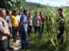Kapolres Konawe Cek Lahan Jagung 1,5 Hektare, Dorong Ketahanan Pangan di Abuki