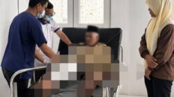 Diterkam Buaya Saat Mandi, Kakek 74 Tahun Diseret 10 Meter ke Sungai