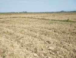 Petani Hukaea Laea Terancam Gagal Panen, Sungai Mengering dan Minta Bantuan Sumur Bor
