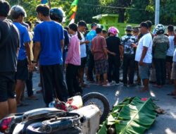 Kecelakaan Maut di Jalan Poros Kendari-Moramo, Dua Pengendara Motor Tewas