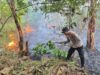 Karhutla Kembali Melanda HTI Pondidaha, Empat Hektare Lahan Terbakar