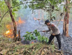 Karhutla Kembali Melanda HTI Pondidaha, Empat Hektare Lahan Terbakar