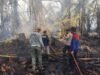 Kebakaran Lahan Gambut di Lambuya Meluas, Polisi-TNI dan Damkar Bergerak Lindungi Permukiman Warga