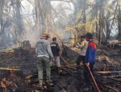 Kebakaran Lahan Gambut di Lambuya Meluas, Polisi-TNI dan Damkar Bergerak Lindungi Permukiman Warga