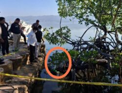 Mayat Pria Tanpa Identitas Ditemukan Mengapung di Pesisir Laut Poasia Kendari
