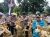 Polres Konawe Gelar Panen Raya Jagung, Dukung Ketahanan Pangan Nasional