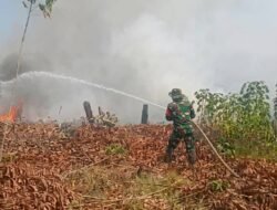 Kebakaran Lahan di Baruga Kendari, Babinsa dan Polisi Bersama Warga Bergerak Cepat Padamkan Api