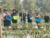 Dari Pekarangan ke Lahan 1.500 Meter Persegi, Petani Binaan ANTAM di Konut Panen 110 Kilogram Cabai
